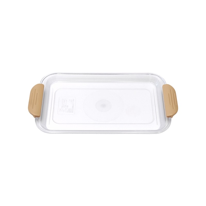 Transparent Rectangular Tray with Handle-Small