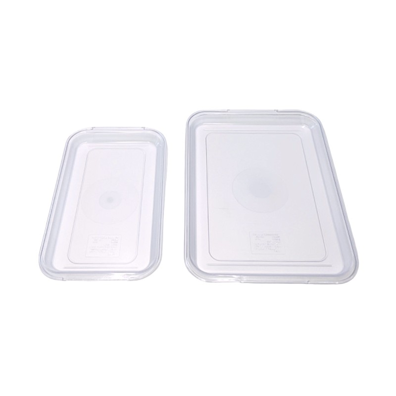 Transparent Rectangular Tray with Handle-Small