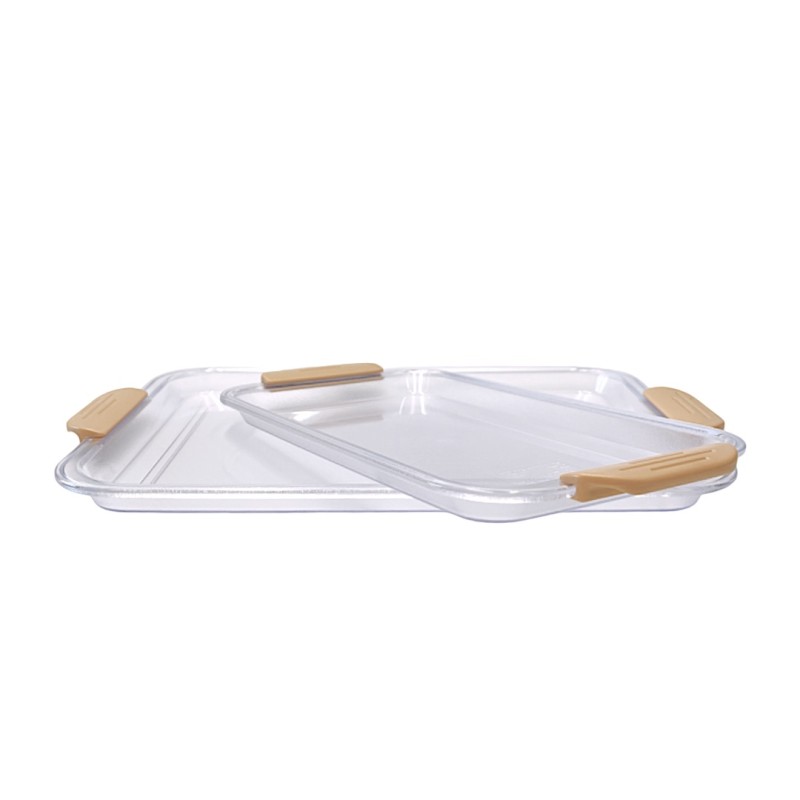 Transparent Rectangular Tray with Handle-Small