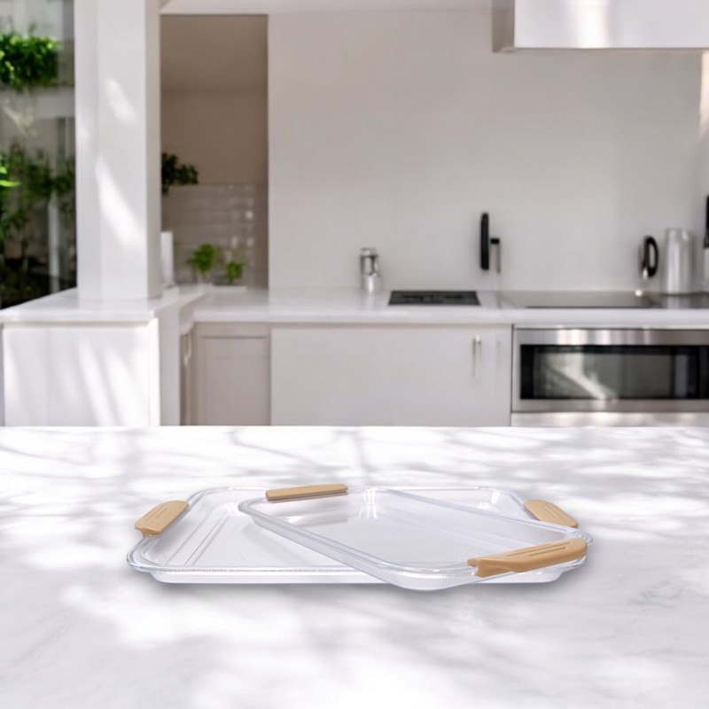 Transparent Rectangular Tray with Handle-Small