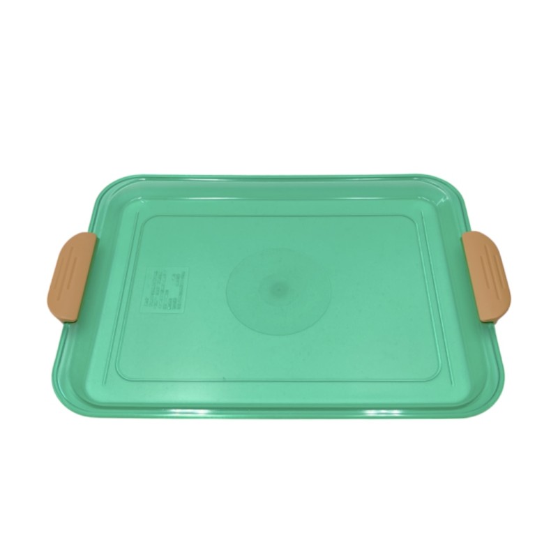 Transparent Rectangular Tray with Handle-Small-green
