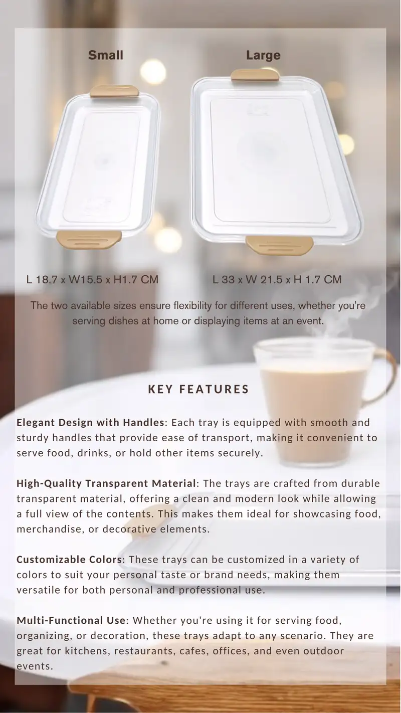 Transparent Rectangular Tray with Handle-Small