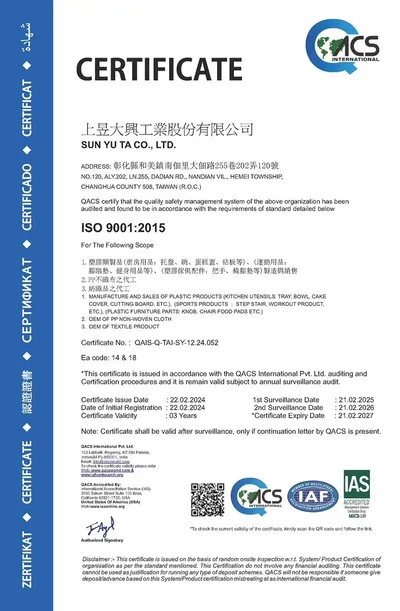 ISO 9001